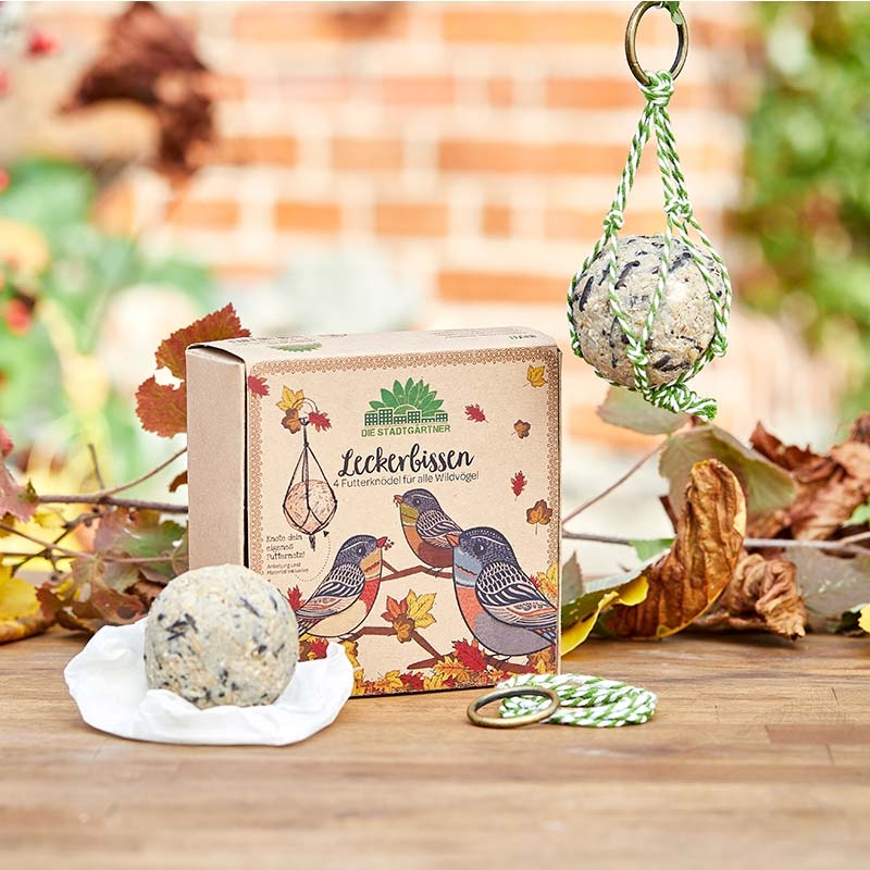 Festín Silvestre. Set de 4 Bolas de Comida para Aves - Aúpa Organics