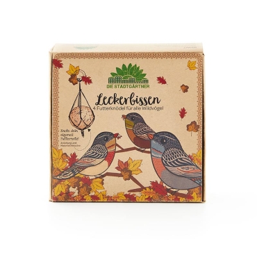 Festín Silvestre. Set de 4 Bolas de Comida para Aves - Aúpa Organics