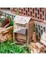 Buffet para Erizos. Comedero Ecológico - Aúpa Organics