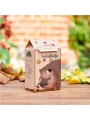 Buffet para Erizos. Comedero Ecológico - Aúpa Organics