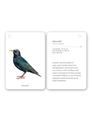 Fixa’t-hi: ocells. Guia visual per conèixer ocells de Catalunya - Aúpa Organics