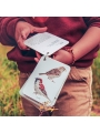 Fixa’t-hi: ocells. Guia visual per conèixer ocells de Catalunya - Aúpa Organics
