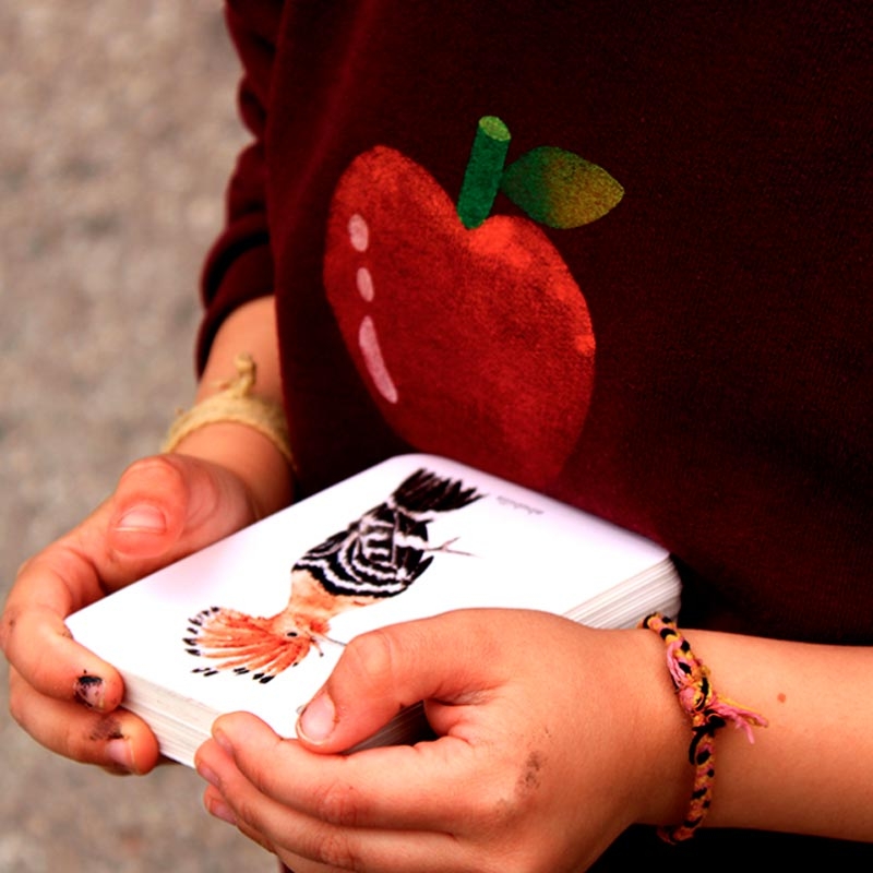 Fixa’t-hi: ocells. Guia visual per conèixer ocells de Catalunya - Aúpa Organics