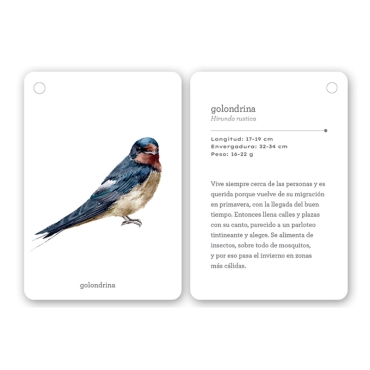 Fíjate: pájaros. Guía visual de aves comunes en Cataluña - Aúpa Organics
