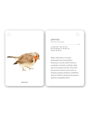 Fíjate: pájaros. Guía visual de aves comunes en Cataluña - Aúpa Organics