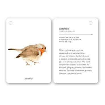 Fíjate: pájaros. Guía visual de aves comunes en Cataluña - Aúpa Organics