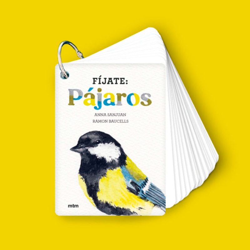 Fíjate: pájaros. Guía visual de aves comunes en Cataluña - Aúpa Organics