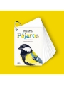 Fíjate: pájaros. Guía visual de aves comunes en Cataluña - Aúpa Organics