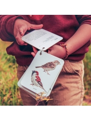 Fíjate: pájaros. Guía visual de aves comunes en Cataluña - Aúpa Organics