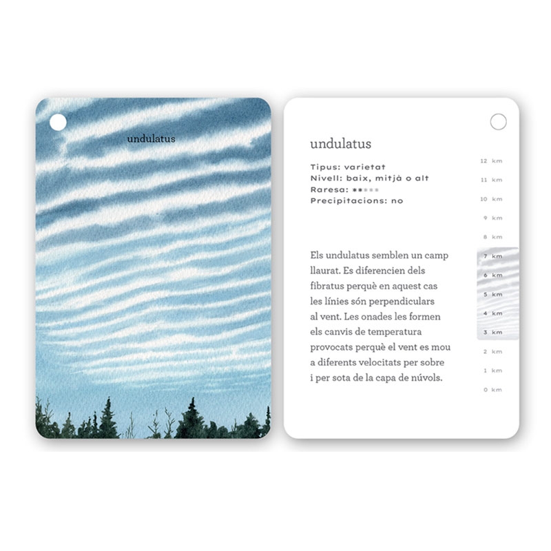 Fixa’t-hi: núvols. Guia visual per conèixer els núvols - Aúpa Organics