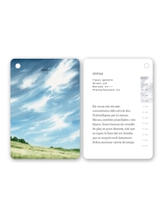 Fixa’t-hi: núvols. Guia visual per conèixer els núvols - Aúpa Organics