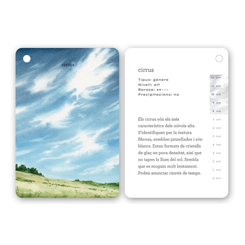 Fixa’t-hi: núvols. Guia visual per conèixer els núvols - Aúpa Organics