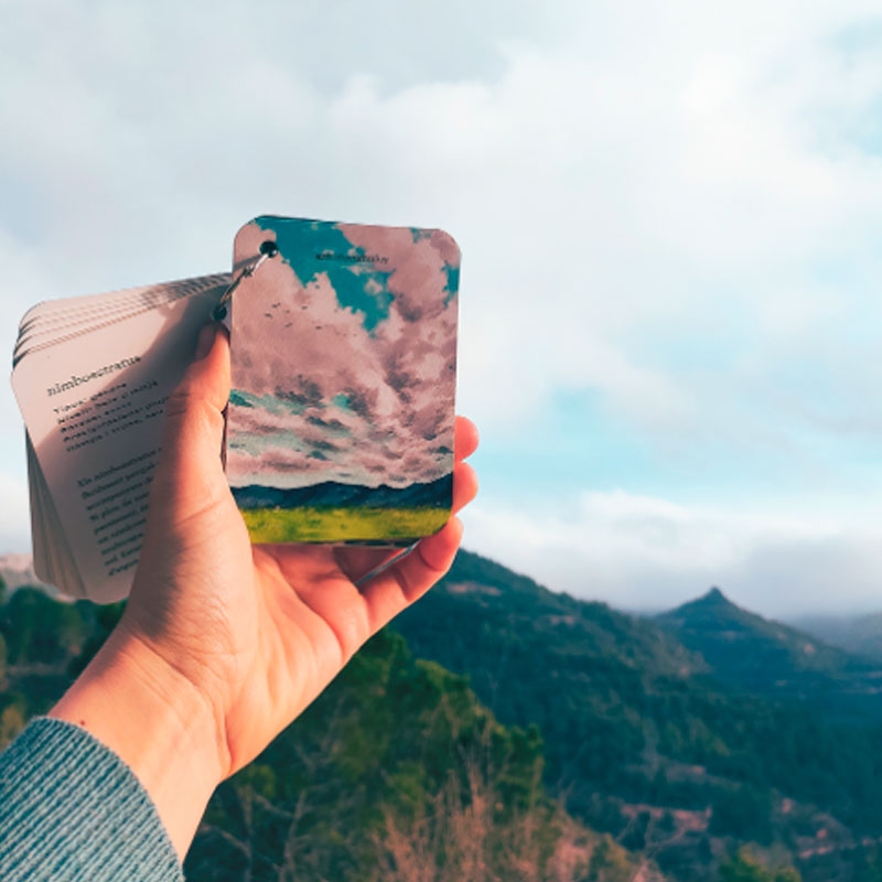 Fixa’t-hi: núvols. Guia visual per conèixer els núvols - Aúpa Organics