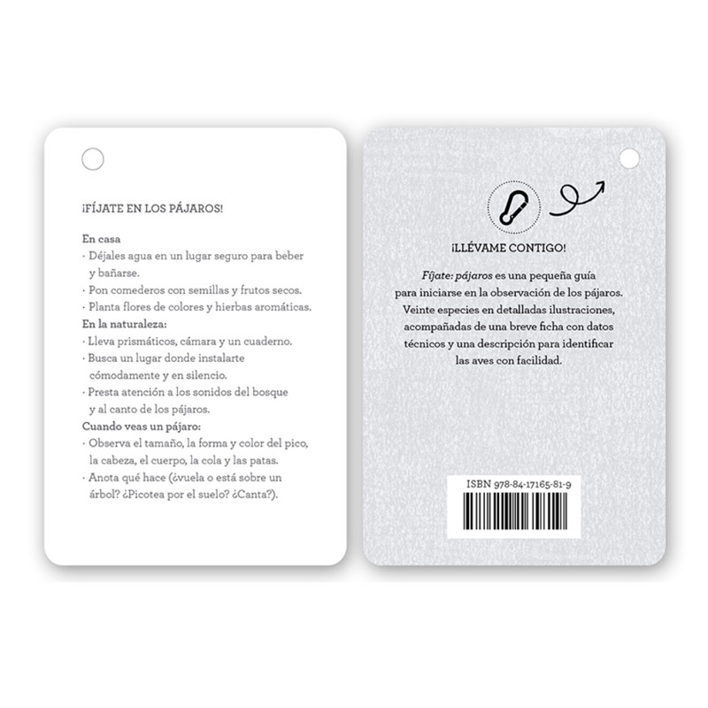 Fíjate: pájaros. Guía visual de aves comunes en Cataluña - Aúpa Organics