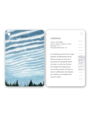 Fíjate: nubes. Guía ilustrada para reconocer tipos de nubes - Aúpa Organics