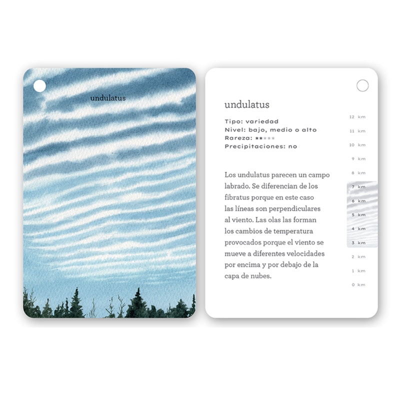 Fíjate: nubes. Guía ilustrada para reconocer tipos de nubes - Aúpa Organics