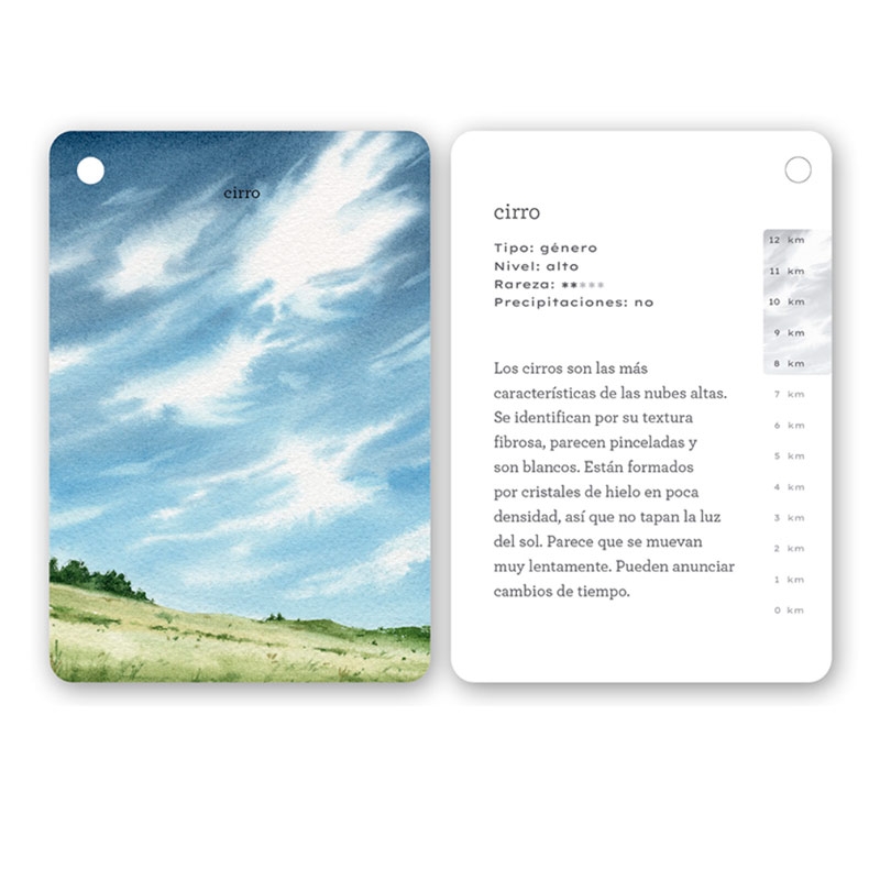 Fíjate: nubes. Guía ilustrada para reconocer tipos de nubes - Aúpa Organics