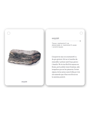 Fixa’t-hi: roques. Guia visual per conèixer roques i minerals - Aúpa Organics