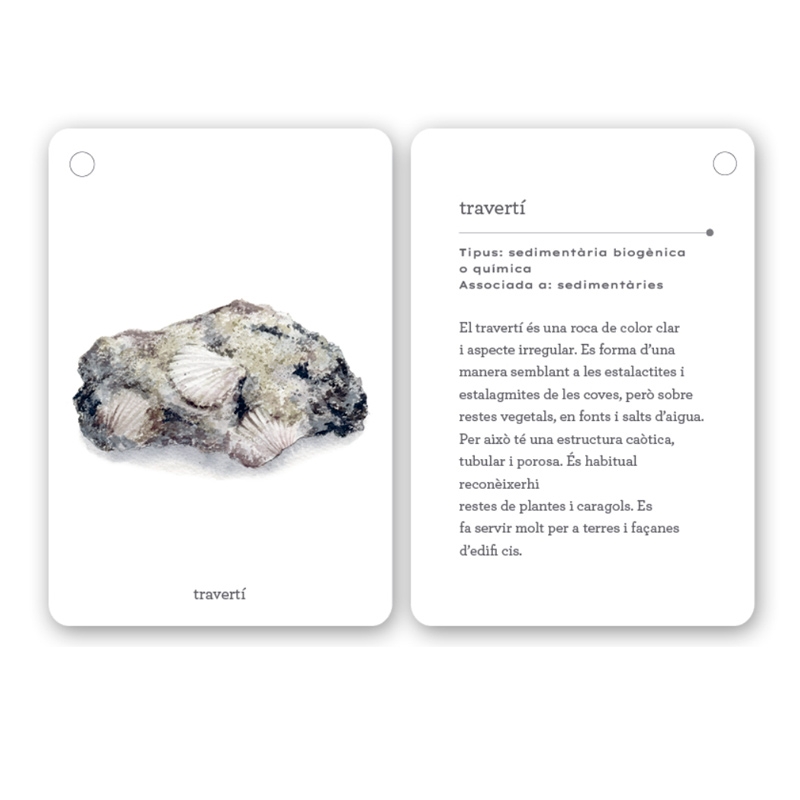 Fixa’t-hi: roques. Guia visual per conèixer roques i minerals - Aúpa Organics