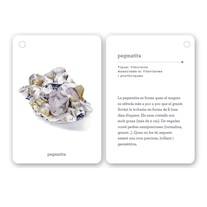 Fixa’t-hi: roques. Guia visual per conèixer roques i minerals - Aúpa Organics