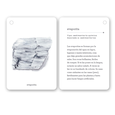 Fíjate: rocas. Guía visual para reconocer rocas y minerales - Aúpa Organics