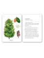 Fixa’t-hi: arbres. Guia visual per conèixer arbres - Aúpa Organics