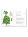 Fixa’t-hi: arbres. Guia visual per conèixer arbres - Aúpa Organics