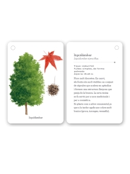 Fixa’t-hi: arbres. Guia visual per conèixer arbres - Aúpa Organics