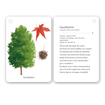 Fixa’t-hi: arbres. Guia visual per conèixer arbres - Aúpa Organics