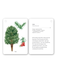 Fixa’t-hi: arbres. Guia visual per conèixer arbres - Aúpa Organics