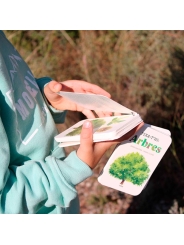 Fixa’t-hi: arbres. Guia visual per conèixer arbres - Aúpa Organics