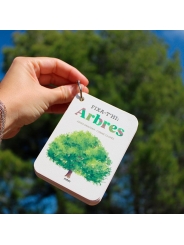 Fixa’t-hi: arbres. Guia visual per conèixer arbres - Aúpa Organics