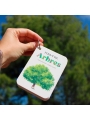 Fixa’t-hi: arbres. Guia visual per conèixer arbres - Aúpa Organics