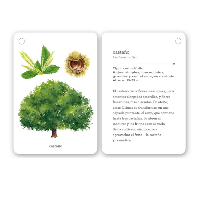 Fíjate: árboles. Guía visual para conocer árboles - Aúpa Organics