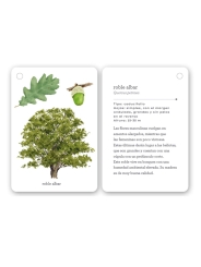Fíjate: árboles. Guía visual para conocer árboles - Aúpa Organics