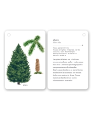 Fíjate: árboles. Guía visual para conocer árboles - Aúpa Organics