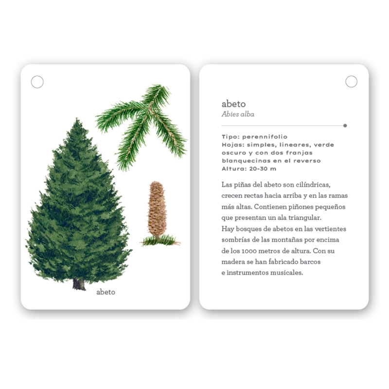 Fíjate: árboles. Guía visual para conocer árboles - Aúpa Organics