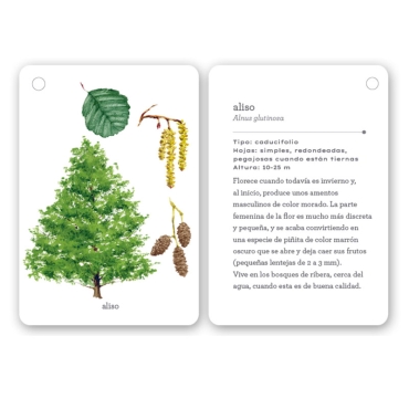 Fíjate: árboles. Guía visual para conocer árboles - Aúpa Organics