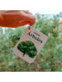 Fíjate: árboles. Guía visual para conocer árboles - Aúpa Organics