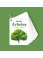 Fíjate: árboles. Guía visual para conocer árboles - Aúpa Organics