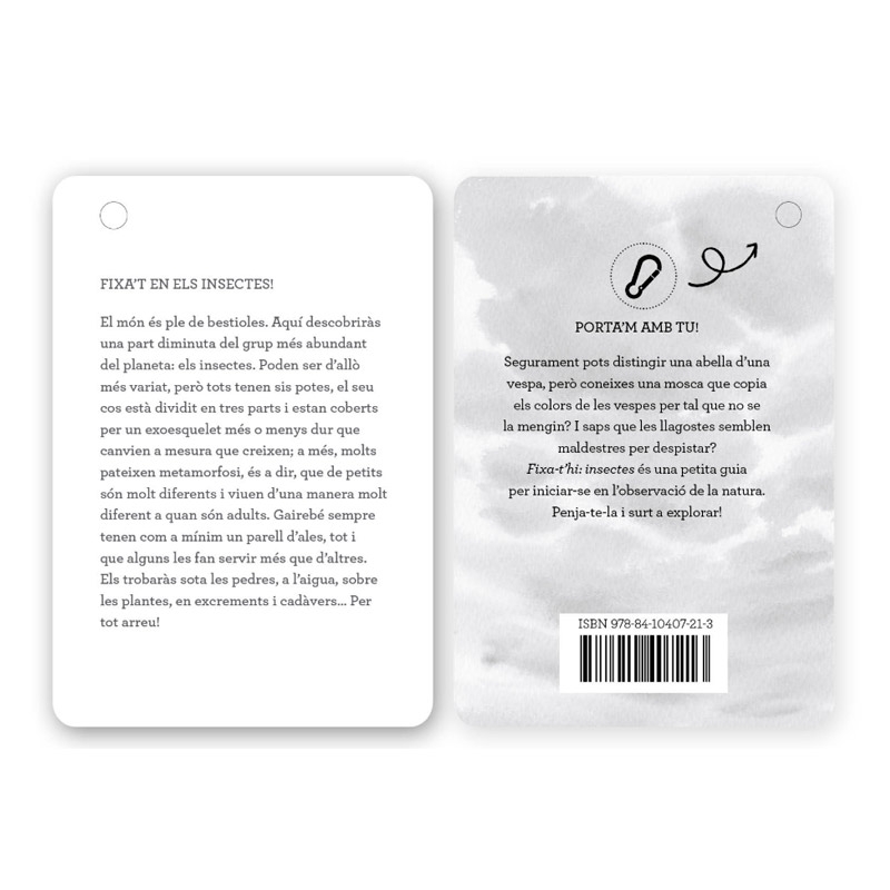 Fixa’t-hi: insectes. Guia visual per conèixer insectes - Aúpa Organics