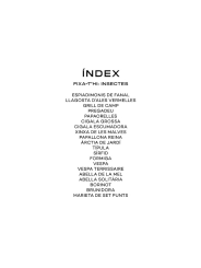 Fixa’t-hi: insectes. Guia visual per conèixer insectes - Aúpa Organics