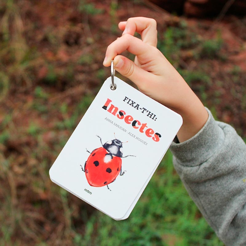 Fixa’t-hi: insectes. Guia visual per conèixer insectes - Aúpa Organics