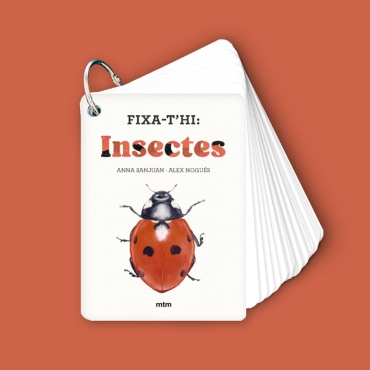 Fixa’t-hi: insectes. Guia visual per conèixer insectes - Aúpa Organics