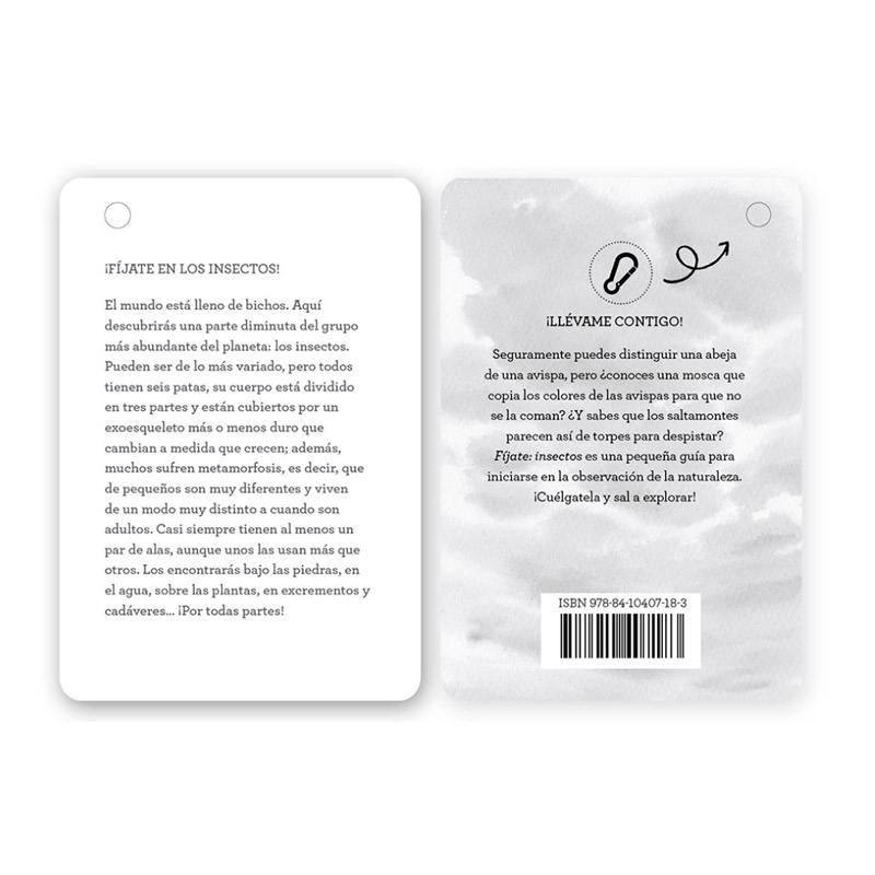 Fíjate: insectos. Guía visual para reconocer insectos - Aúpa Organics