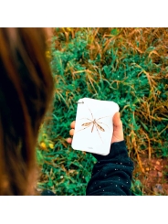 Fíjate: insectos. Guía visual para reconocer insectos - Aúpa Organics