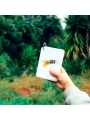 Fíjate: insectos. Guía visual para reconocer insectos - Aúpa Organics