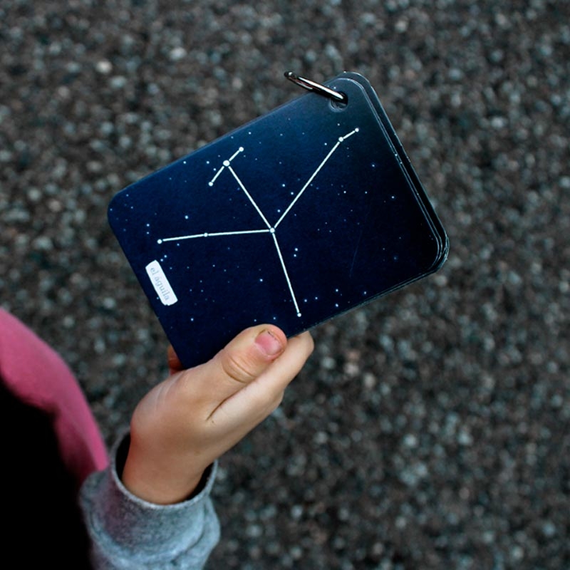 Fixa’t-hi: constel·lacions de l’hemisferi nord - Aúpa Organics