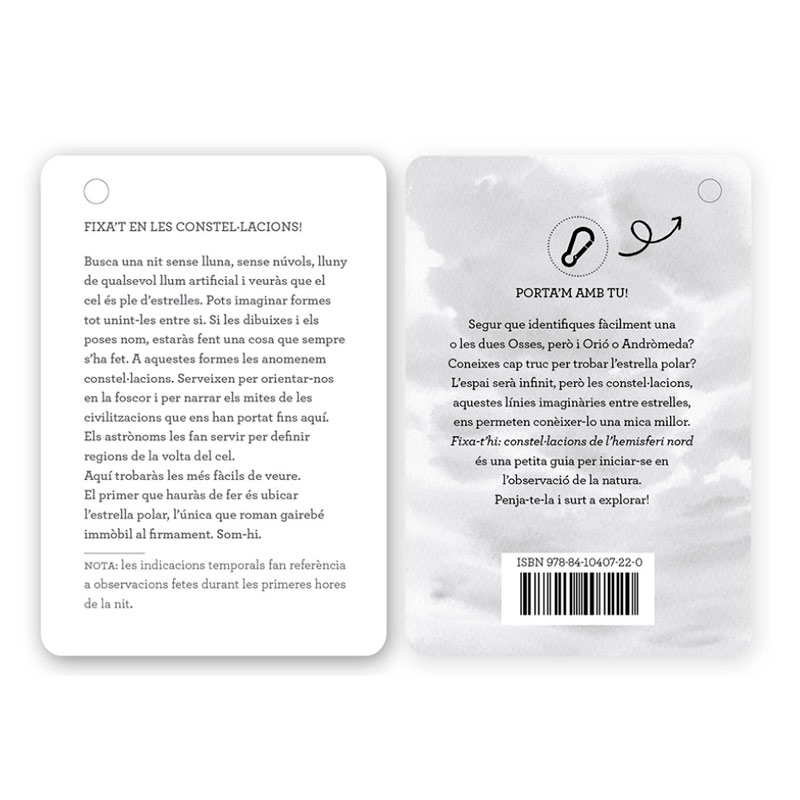 Fixa’t-hi: constel·lacions de l’hemisferi nord - Aúpa Organics