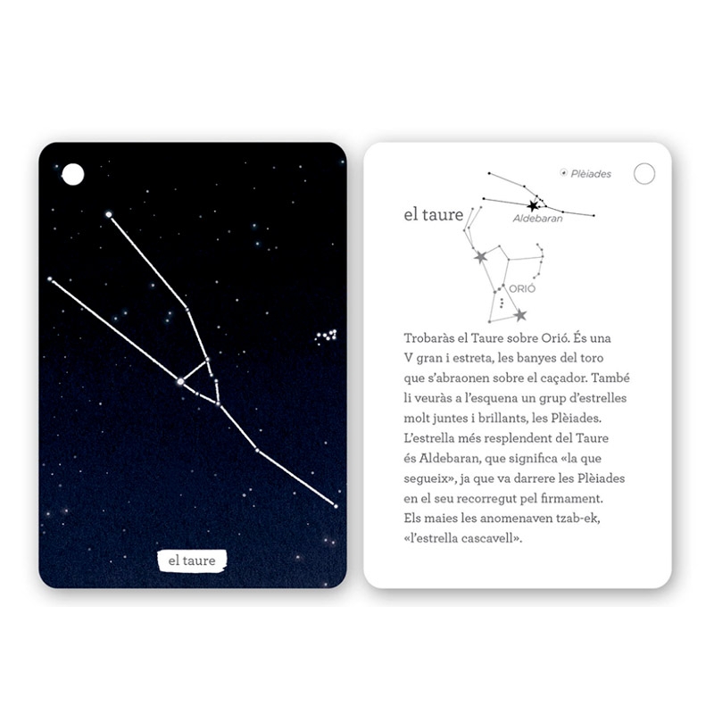 Fixa’t-hi: constel·lacions de l’hemisferi nord - Aúpa Organics